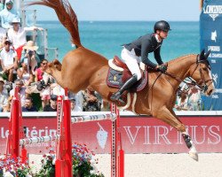 jumper Celvin (KWPN (Royal Dutch Sporthorse), 2007, from Raphael)