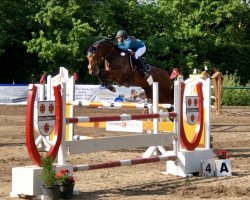 jumper Lexus 96 (Polish Warmblood, 2012, from Orient)