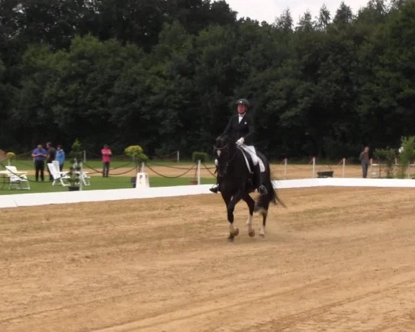 Euregioturnier Wietmarschen 2016