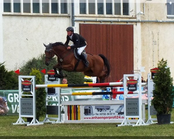 jumper Comthago I SR (Westphalian, 2012, from Comme il Faut)