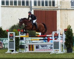 jumper Comthago I SR (Westphalian, 2012, from Comme il Faut)