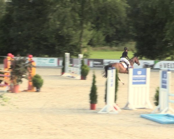 Euregioturnier Wietmarschen 2016