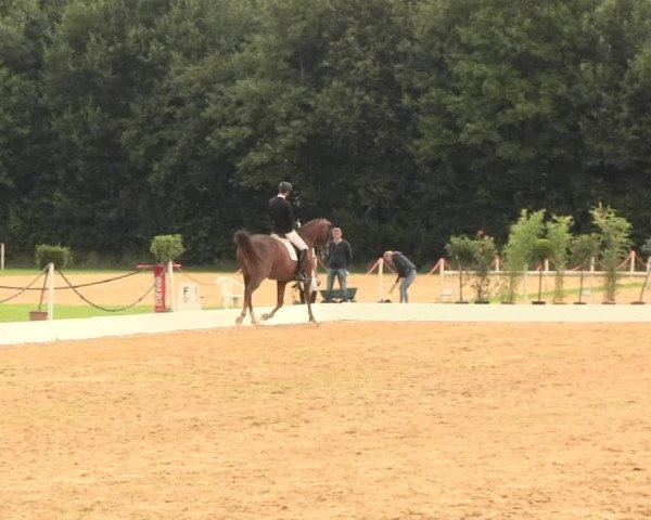 Euregioturnier Wietmarschen 2016