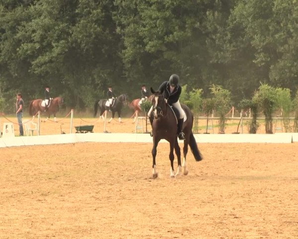 Euregioturnier Wietmarschen 2016