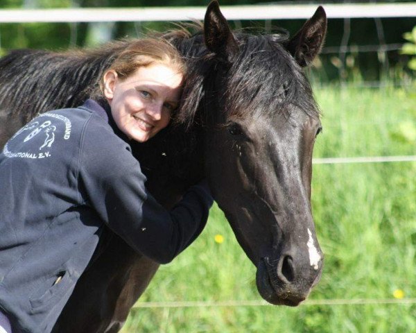 horse Feldia S (Oldenburg, 2015, from Buenos Dias 6)