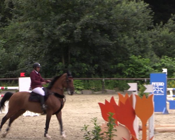 Kemperhöher Reitertage 2016