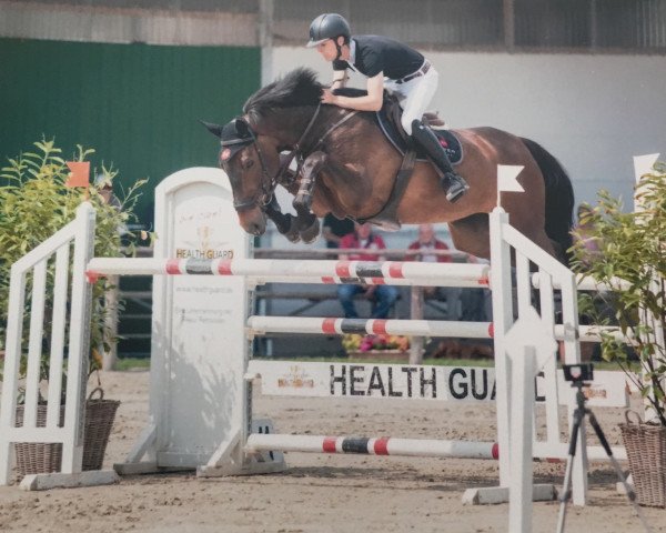 broodmare Quinta Kunta O (Westphalian, 2007, from Quinta Real)