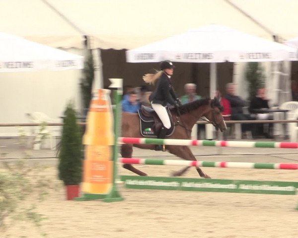Euregioturnier Wietmarschen 2016