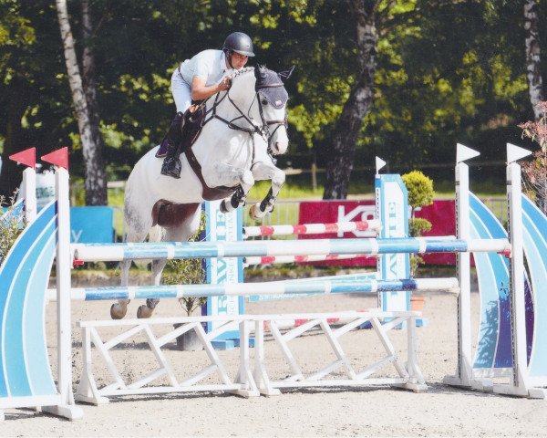 jumper Comming Up (Hanoverian, 2010, from Contagio)