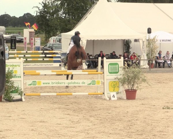 Euregioturnier Wietmarschen 2016