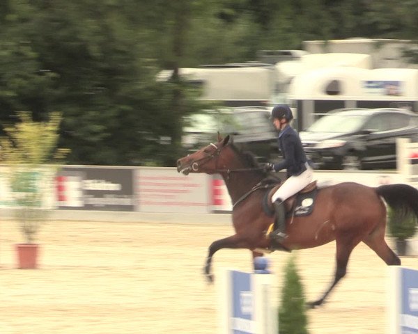 Euregioturnier Wietmarschen 2016