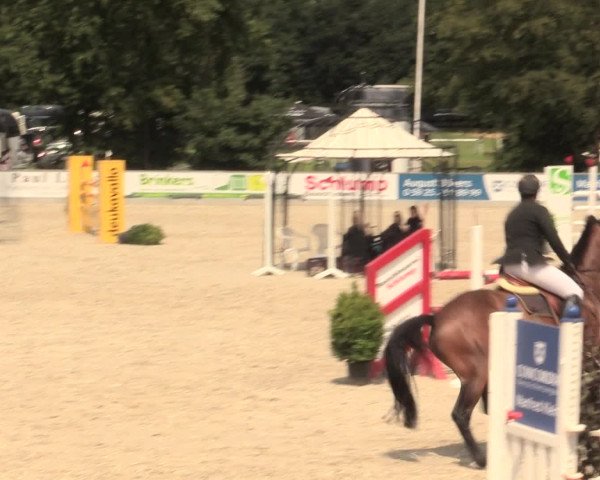 Euregioturnier Wietmarschen 2016
