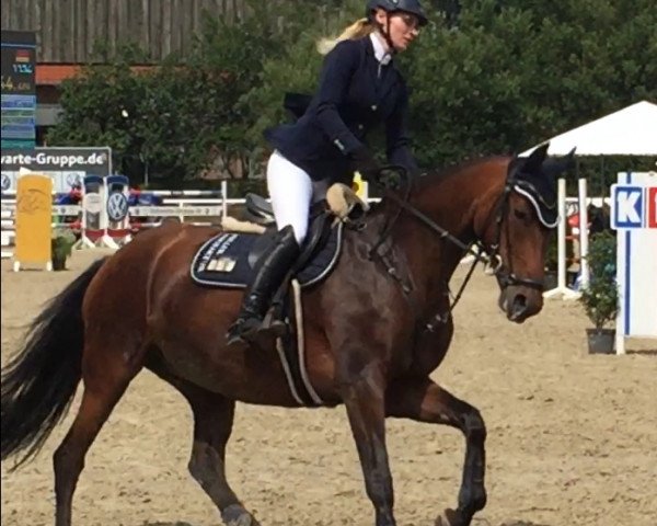 broodmare Stella Grande (Hanoverian, 2007, from Stalypso)