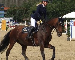 broodmare Stella Grande (Hanoverian, 2007, from Stalypso)