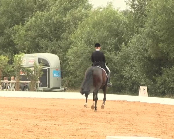 Euregioturnier Wietmarschen 2016