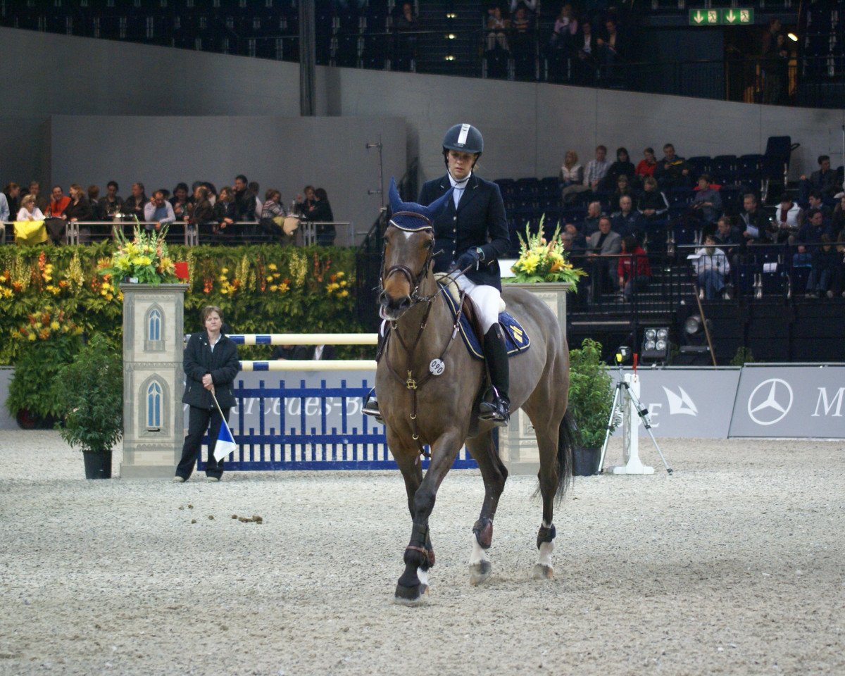 Zuchtstute Opaline des Frimonts (Belgium Sporthorse, 1998, von Nabab de Rêve)