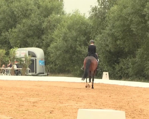 Euregioturnier Wietmarschen 2016