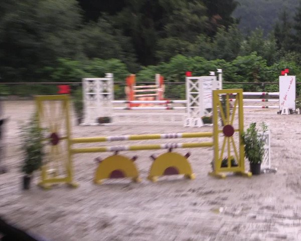 Kemperhöher Reitertage 2016