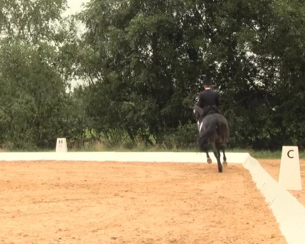 Euregioturnier Wietmarschen 2016
