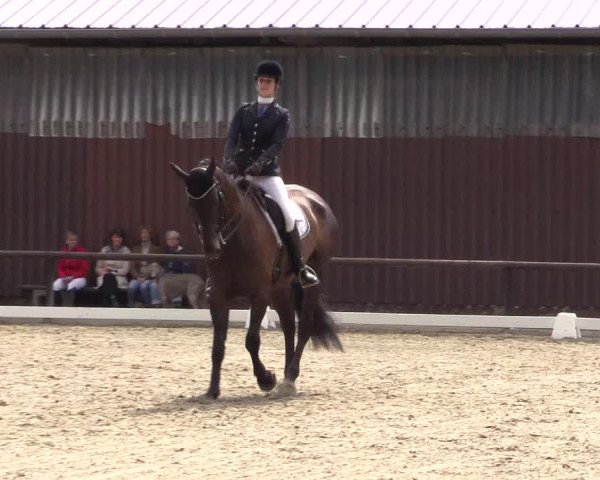 Kemperhöher Reitertage 2016