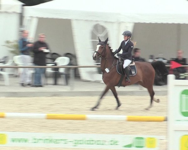Euregioturnier Wietmarschen 2016