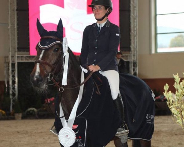 Zuchtstute Jade de Lizami (Belgisches Warmblut, 2009, von C'est la Vie)