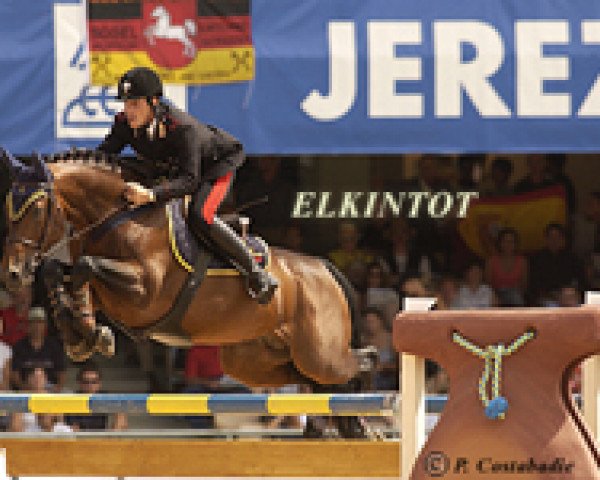 stallion Loro Piana Elkintot (Selle Français, 1992, from Le Tot de Semilly)