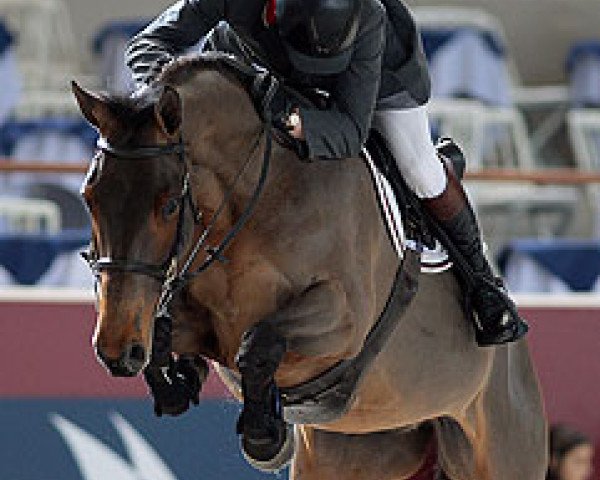 jumper Leandros de Semilly (Selle Français, 1999, from Diamant de Semilly)