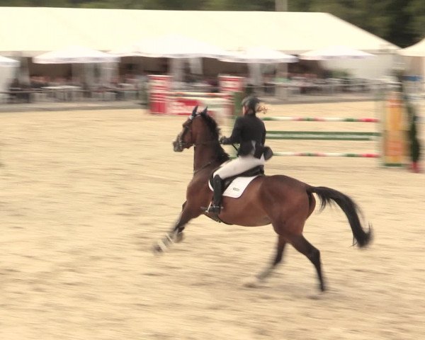Euregioturnier Wietmarschen 2016