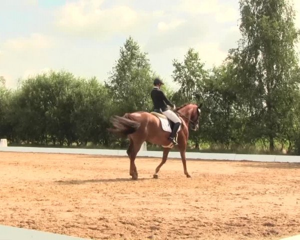 Euregioturnier Wietmarschen 2016