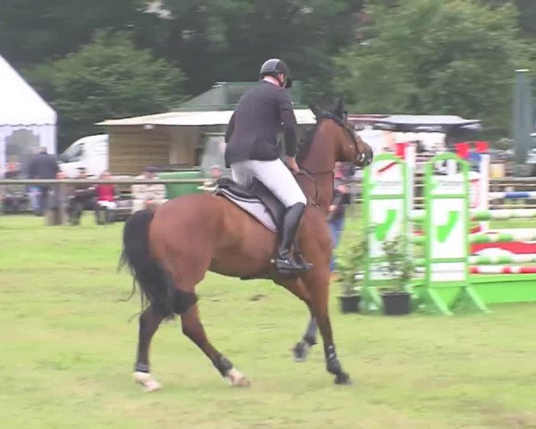 Reitturnier Süderbrarup-Güderott 2016