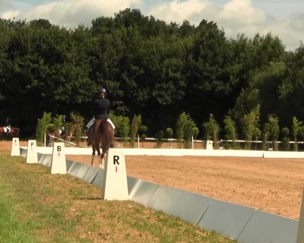 Euregioturnier Wietmarschen 2016