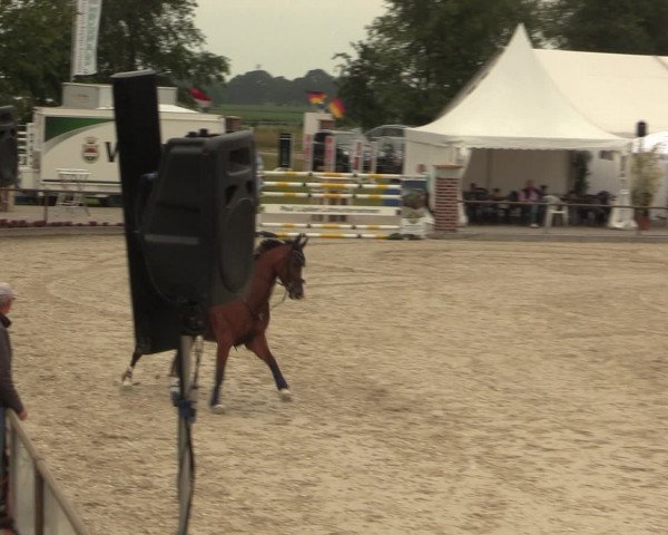Euregioturnier Wietmarschen 2016
