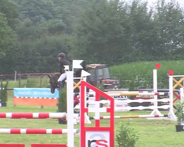 Reitturnier Süderbrarup-Güderott 2016
