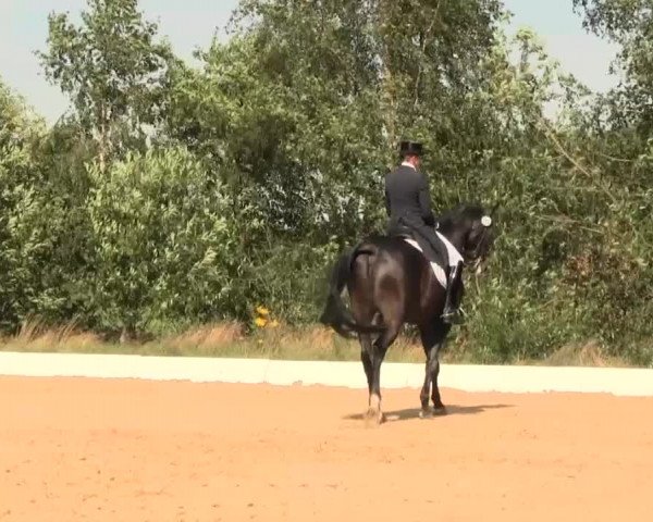Euregioturnier Wietmarschen 2016