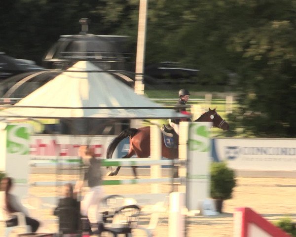 Euregioturnier Wietmarschen 2016