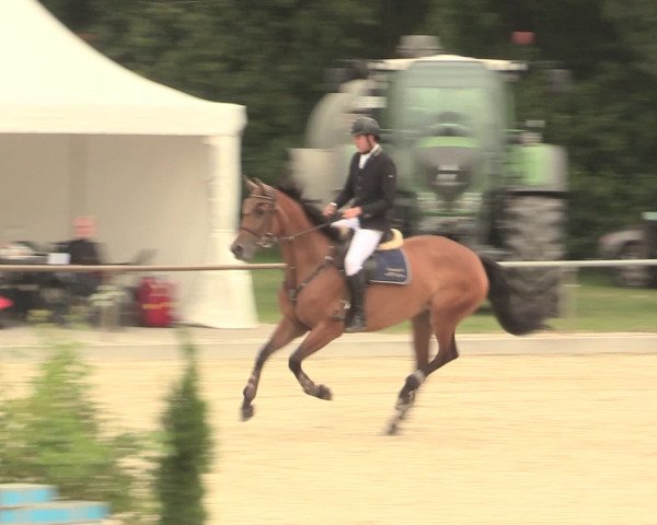 Euregioturnier Wietmarschen 2016