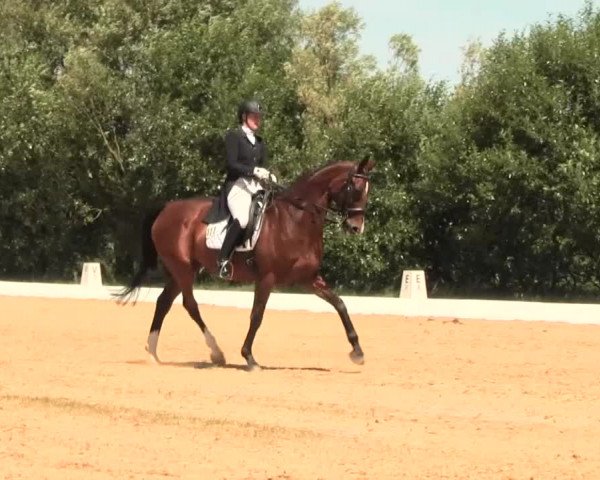 Euregioturnier Wietmarschen 2016