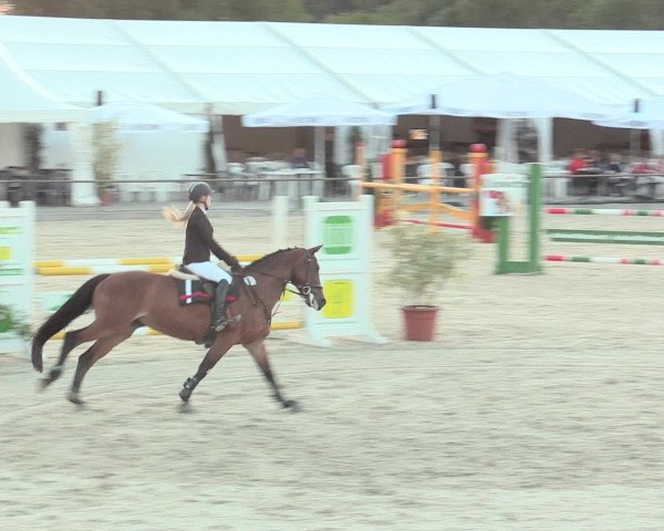 Euregioturnier Wietmarschen 2016