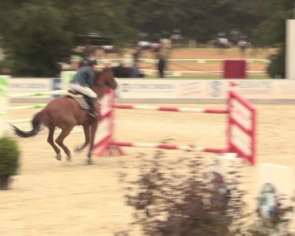 Euregioturnier Wietmarschen 2016