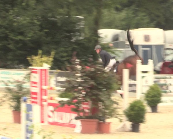 Euregioturnier Wietmarschen 2016
