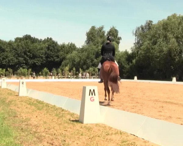 Euregioturnier Wietmarschen 2016