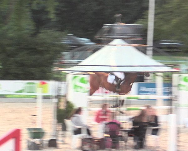 Euregioturnier Wietmarschen 2016