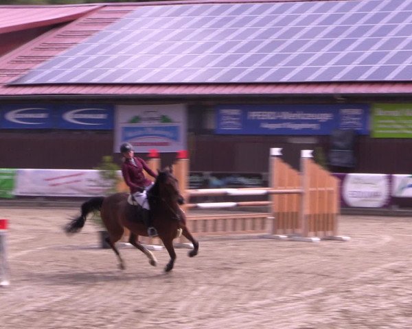 Kemperhöher Reitertage 2016