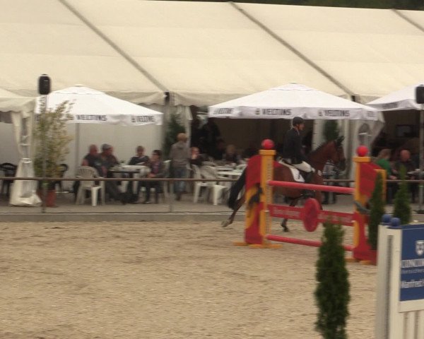 Euregioturnier Wietmarschen 2016