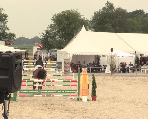 Euregioturnier Wietmarschen 2016