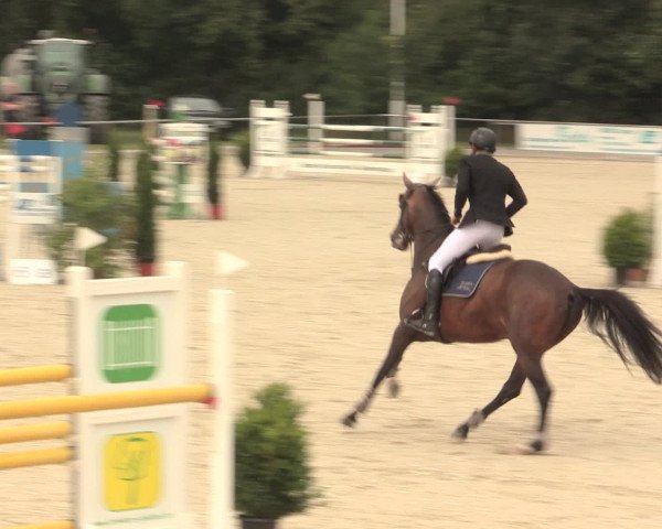 Euregioturnier Wietmarschen 2016