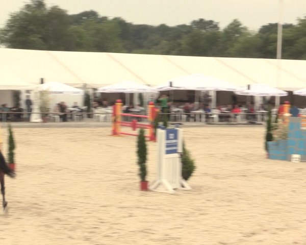 Euregioturnier Wietmarschen 2016