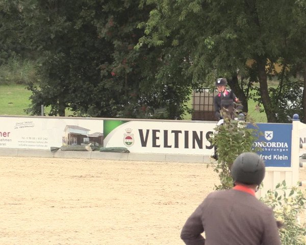 Euregioturnier Wietmarschen 2016