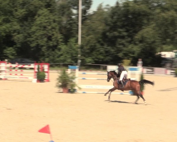 Euregioturnier Wietmarschen 2016